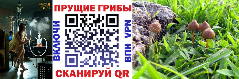 блэк спрут как зайти  Кулебаки  Псилоцибиновые грибы мухоморы 